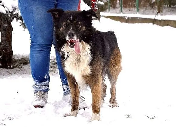 Atos - pozytywnie zakręcony, australijski wariat :
