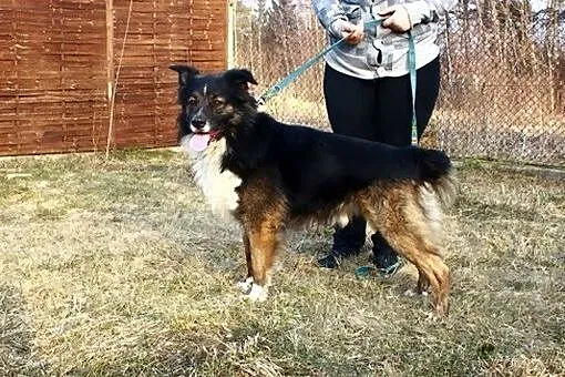 Atos - pozytywnie zakręcony, australijski wariat :