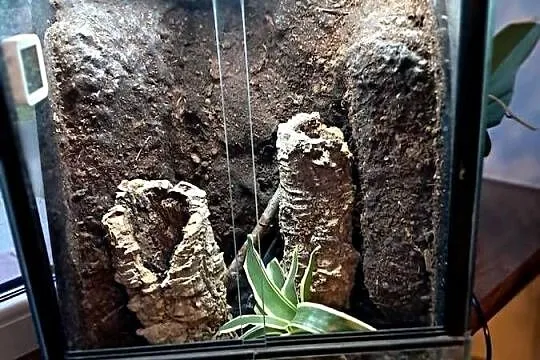 Sprzedam używane terrarium stan db, jedno małe pęknięcie widoczne na ostatn