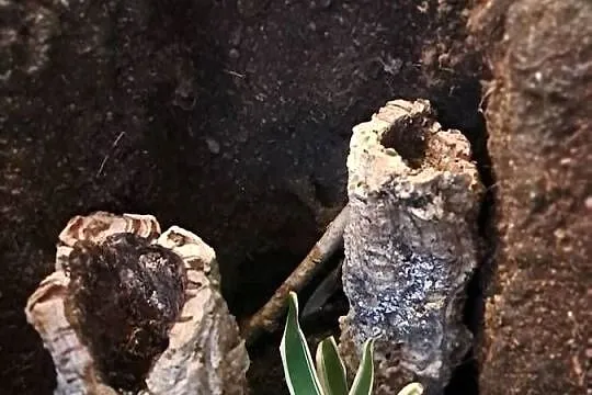 Sprzedam używane terrarium stan db, jedno małe pęknięcie widoczne na ostatn, Świętokrzyskie, Sandomierz