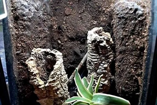 Sprzedam używane terrarium stan db, jedno małe pęknięcie widoczne na ostatn, Świętokrzyskie, Sandomierz