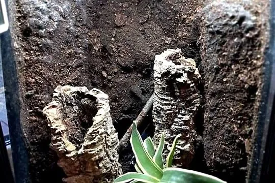 Sprzedam używane terrarium stan db, jedno małe pęknięcie widoczne na ostatn, Świętokrzyskie, Sandomierz