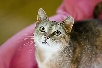 Megi kocha ludzi, czy ktoś pokocha ją?