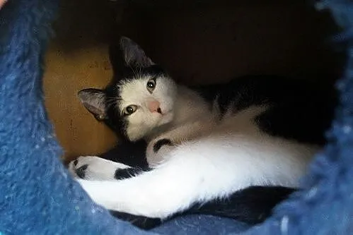 Fernando