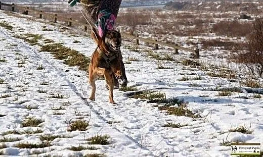 Kocha aportować i kocha być kochanym :), małopols