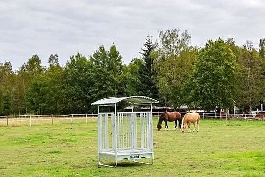 Paśnik dla koni, z przegrodami, 8 stanowisk, Małopolskie, Limanowa