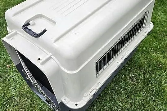 Transporter dla dużego psa, Śląskie, Raszczyce