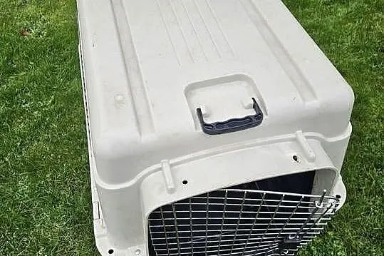 Transporter dla dużego psa, Śląskie, Raszczyce