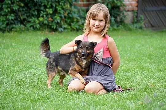 Bezkonfliktowy, radosny wesołek_ Aleksander, mały 