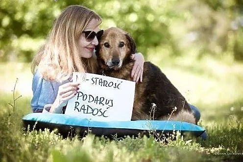 Pokochaj smutnookiego LANERA - senior szuka Domu!,
