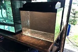 Akwarium 40 x 25 x 30 pokrywa , led