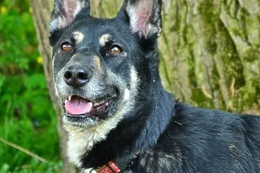 Młoda, bardzo spragniona kontaktu z człowiekiem, J