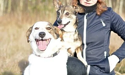 Dwa niezwykle przywiązane do siebie psiaki: Iskra