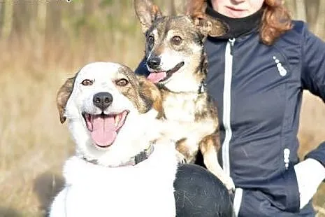 Dwa niezwykle przywiązane do siebie psiaki: Iskra 