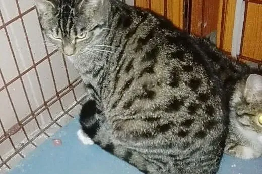 Ajna czyli Człowiek pilnie potrzebny,  pomorskie R