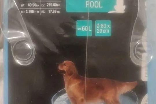 Basen dla psów