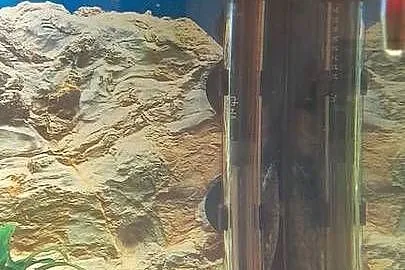 Akwarium Kompletne z rybami 100l, Dolnośląskie, Sosnówka