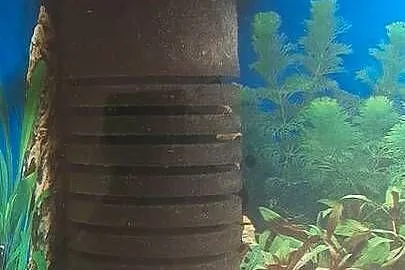 Akwarium Kompletne z rybami 100l, Dolnośląskie, Sosnówka