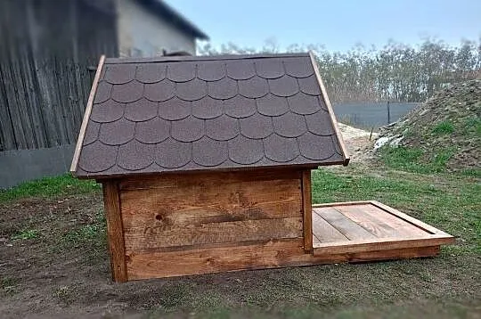 Ładna duża buda dla psa !!, Mazowieckie, Tadajówka