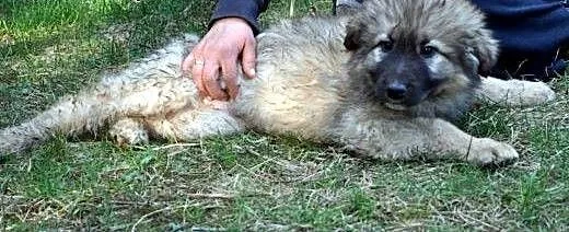 10tyg.PIESKI XXL-BĘDĄ DUŻE, mazowieckie Warszawa