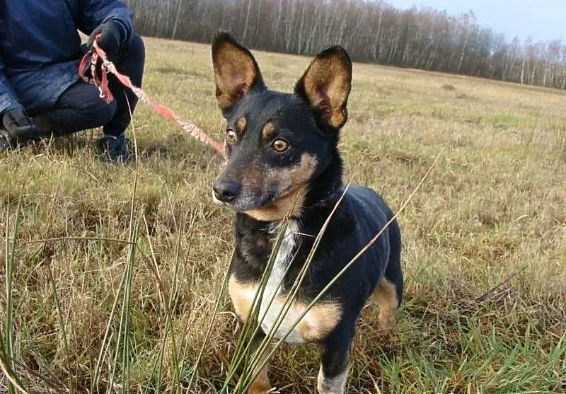 GACUŚ szuka domu
