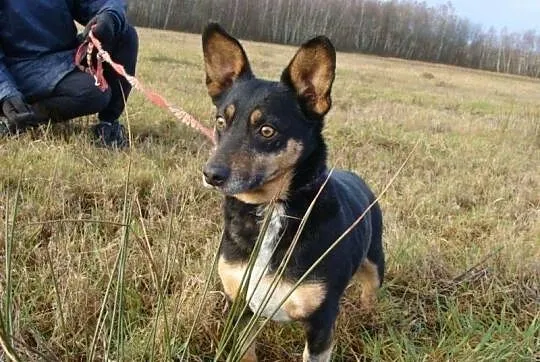 GACUŚ szuka domu