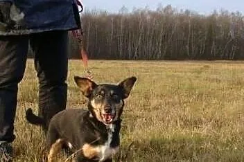 GACUŚ szuka domu