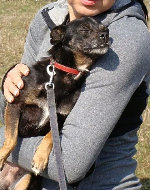 Pinia-5kg nieszczęścia na łańcuchu! Przeczytaj ogł