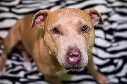 Uśmiech od ucha do ucha - taka z NESKI fajna dziew