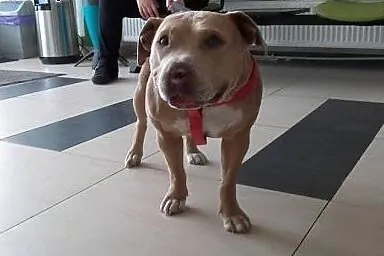 Uśmiech od ucha do ucha - taka z NESKI fajna dziew