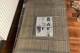 Klatka 100 cm dla średnich papug
