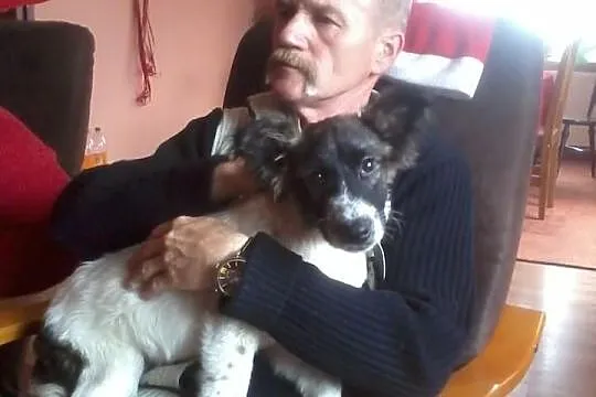 Cudem uratowany od śmierci głodowej szczeniak Paco