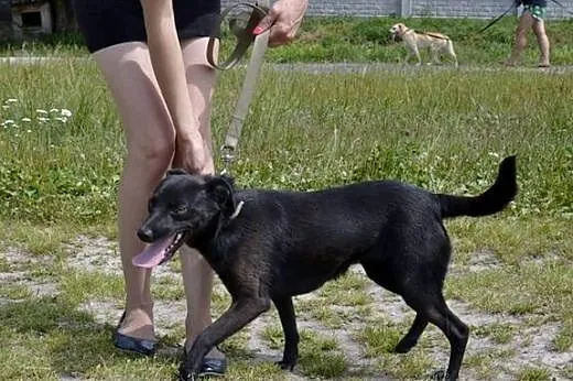 Pokochaj mnie proszę... - Czarna prosi o miłość i 