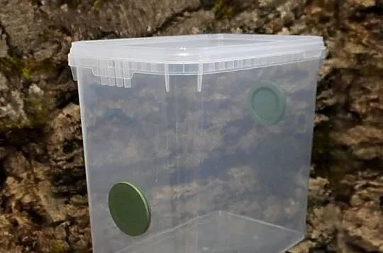 Pojemnik hodowlany 27x19x27 wentylacja 3D terrarium pająk ptasznik skorpion, Śląskie, Skoczów