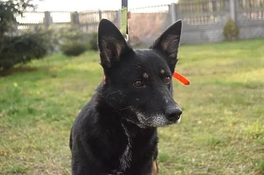 Rafia, cudo do adopcji od zaraz!