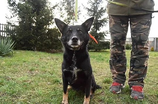 Rafia, cudo do adopcji od zaraz!