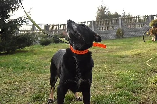 Rafia, cudo do adopcji od zaraz!