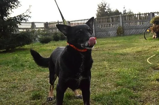 Rafia, cudo do adopcji od zaraz!