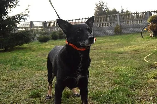 Rafia, cudo do adopcji od zaraz!