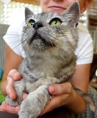 Letycja