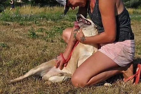 Piasek - bo tak zapatrzony w człowieka może być ty