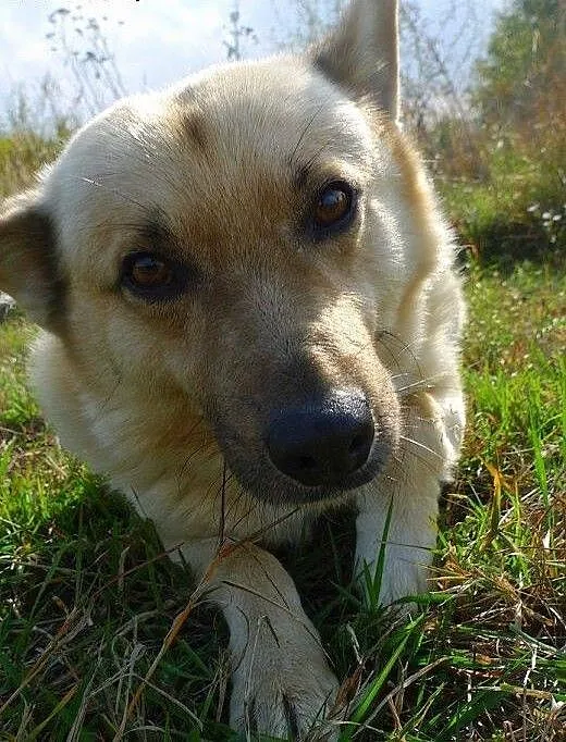 Mam pół roku na znalezienie domu... moje przytulis