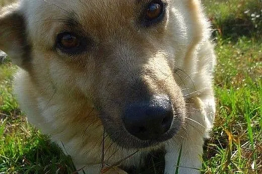 Mam pół roku na znalezienie domu... moje przytulis