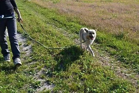 Mam pół roku na znalezienie domu... moje przytulis