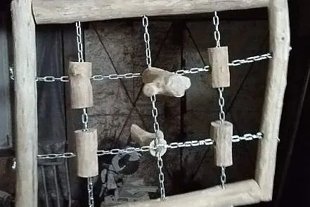 Siatki wspinaczkowe dla papug niszczących, Małopolskie, Kraków