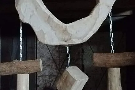 Siatki wspinaczkowe dla papug niszczących, Małopolskie, Kraków