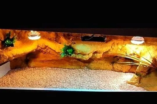 Terrarium dla żółwia greckiego gekona lamparciego