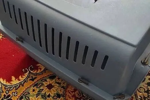 transporter dla kota, Świętokrzyskie, Końskie