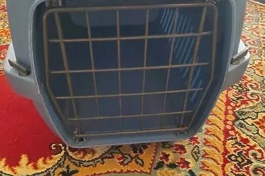 transporter dla kota, Świętokrzyskie, Końskie