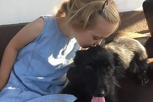Niewielka Princessa, sunia która kocha i potrzebuje być kochaną!,  Kundelki cała Polska, 